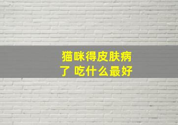 猫咪得皮肤病了 吃什么最好